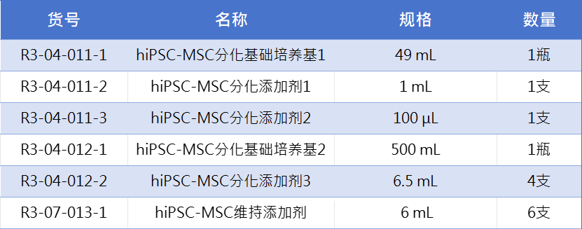 间充质1.jpg