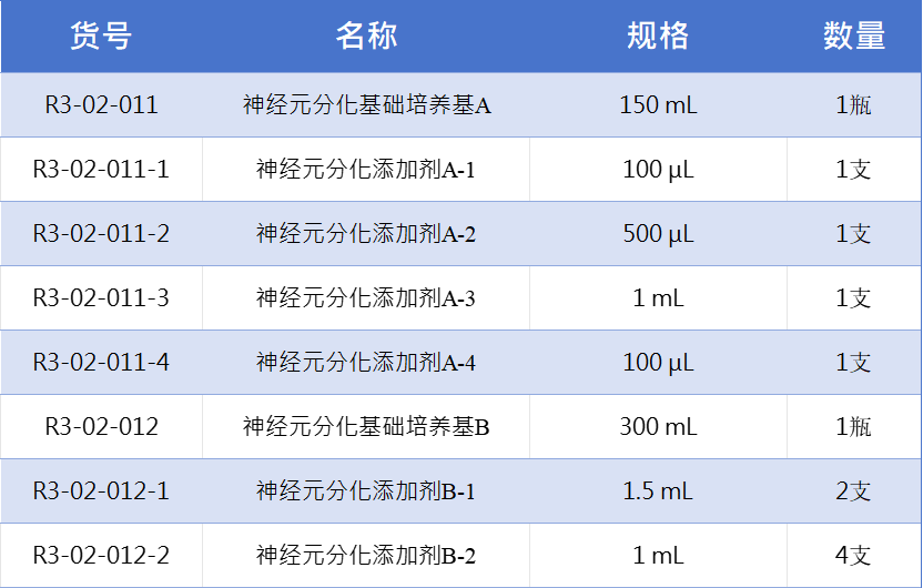 前脑神经元分化1.jpg